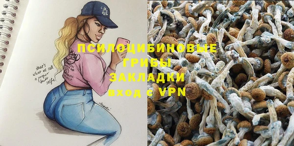 дмт Богданович